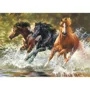 Puzzle Castorland Splash, 500 piese foto