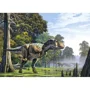 Puzzle Castorland Tyrannosaurus, 500 piese foto
