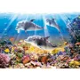 Puzzle Castorland Dolphins Underwater, 500 piese foto