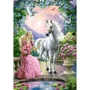 Puzzle Castorland The Secret Garden, 500 piese foto