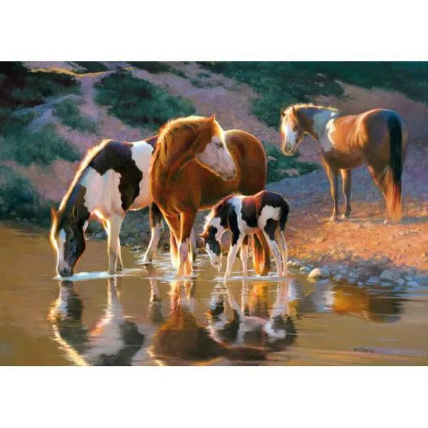 Puzzle Castorland Night Cap, 500 piese foto