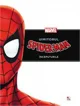 Uimitorul Spiderman - Inceputurile foto