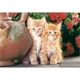 Puzzle Castorland Red Kittens, 1500 piese foto