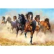 Puzzle Castorland Thunder and Dust, 1000 piese foto