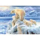 Puzzle Castorland Arctic Kingdom, 1000 piese foto