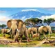 Puzzle Castorland Kilimanjaro Morning, 300 piese foto