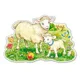 Puzzle Castorland A Lamb with his Mom, 12 piese foto