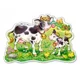 Puzzle Castorland Cows on a Meadow, 12 piese foto