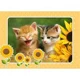 Puzzle Castorland Two Kittens with Sunflowers, 60 MIDI piese foto