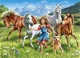 Puzzle Castorland On a Meadow, 120 MIDI piese foto
