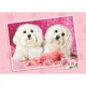 Puzzle Castorland Two Doggies in Pink, 120 MIDI piese foto
