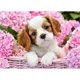 Puzzle Castorland Pup in Punk Flowers, 180 MIDI piese foto