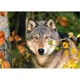 Puzzle Castorland Mysterious Eyes, 500 piese foto