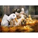 Puzzle Castorland Pals, 500 piese foto