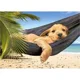 Puzzle Castorland Leisure Time, 500 piese foto