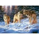 Puzzle Castorland Wolves, 500 piese foto