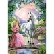 Puzzle Castorland The Secret Garden, 500 piese foto