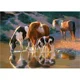 Puzzle Castorland Night Cap, 500 piese foto