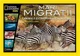 Mari migratii foto