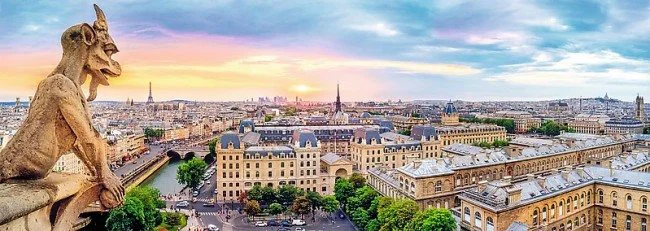 Puzzle Trefl Panorama - View from the Cathedral of Notre-Dame de Paris, 1000 piese foto