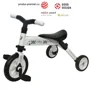 Трицикл DHS B-Trike белый foto