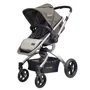 Carucior modular Coccolle Oro 2 in 1 Maro