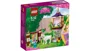 LEGO Disney Princess - Rapunzel's Best Day Ever foto