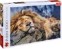 Puzzle Trefl Leul adormit, 1000 piese