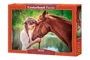 Puzzle Castorland Great Friendship, 500 piese foto