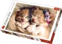 Puzzle Trefl Sleeping Kittens, 500 piese foto