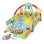 Развивающий коврик 5 в 1 Bright Starts Sunny Safari Baby’s Play Place™