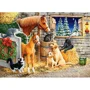 Puzzle Castorland Gathering Friends, 300 piese foto