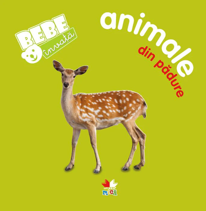 Bebe invata. Animale din padure foto