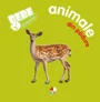 Bebe invata. Animale din padure foto