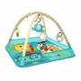 Развивающий коврик Bright Starts More-in-One Ball Pit Fun