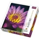 Puzzle Trefl Flowers - Chromatea Waterlilly, 1000 piese foto