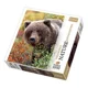 Puzzle Trefl Wild Royals - Grizzly bear, Alaska, 1000 piese foto