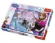 Пазл Trefl Disney Love in the Frozen Land, 260 эл. foto