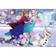 Puzzle Trefl Disney Frozen Ice skating, 160 piese foto
