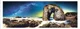 Puzzle Trefl Panorama - The Milky Way, 1000 piese foto