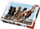 Пазл Trefl Galopping Horses, 1000 эл. foto