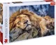 Puzzle Trefl Leul adormit, 1000 piese