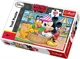 Puzzle Trefl Disney Standard Characters "The Washbowl", 30 piese foto
