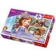 Puzzle Trefl Disney Sofia the First "Roses", 30 piese foto