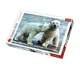 Пазл Trefl Polar Bears, 500 эл. foto