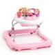 Premergator Bright Starts Pretty In Pink "Juneberry Delight" foto