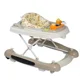 Premergator multifunctional 3 in 1 BabyGo Beige foto
