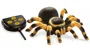 Jucari interactiva Buki Tarantula cu telecomanda foto