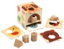 Sorter din lemn Djeco BoxBasic