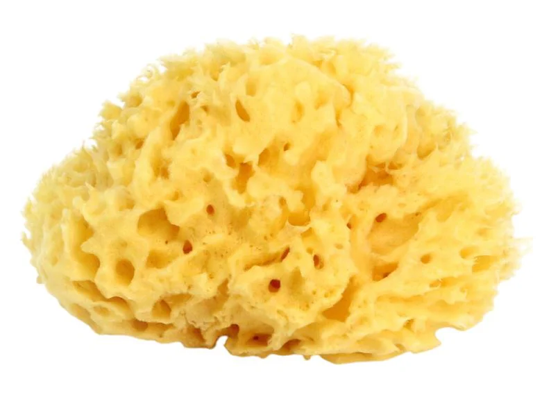 Губка для ванной OK Baby Honeycomb, размер 10